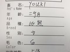 -申普宠物医院·心脏介入·心血管微创(总院)