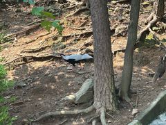 -燕塞湖鸟语林景区