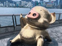 -星光大道
