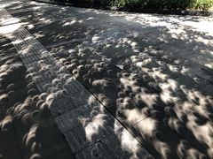 -深圳安仁堂中医·推拿按摩·肩颈调理