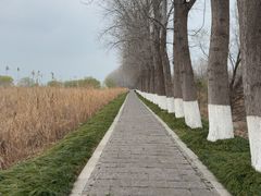-采石矶景区