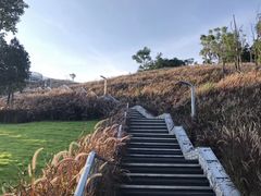 -白石龙音乐公园