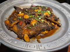 -前海沿·青岛菜(大拇指广场石老人店)