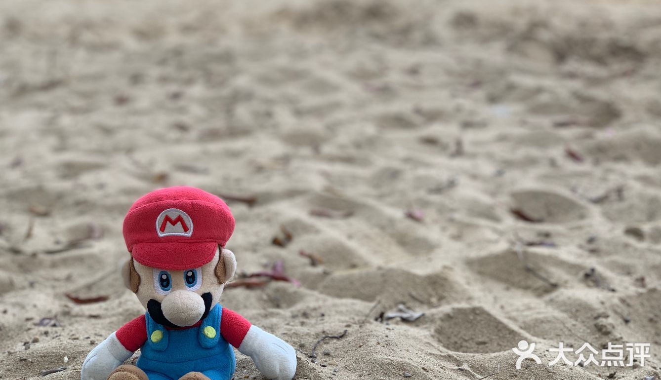 秋游世纪公园（10🈷️篇）