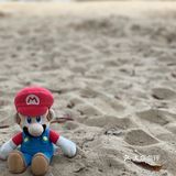 秋游世纪公园（10🈷️篇）