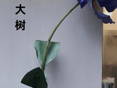 -村口大树(长乐路店)