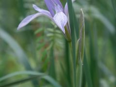 -白塘生态植物园