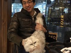 -Oh My Dog宠物沙龙(伊珊娜皮毛护理店)