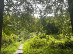 -山王坪喀斯特国家生态公园