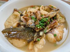 黄焖山塘鱼-始兴县农家小院餐馆