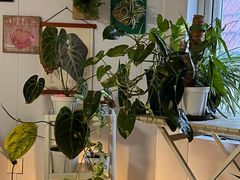 -Rabbit Cafe私房西餐甜点咖啡(栖霞路店)