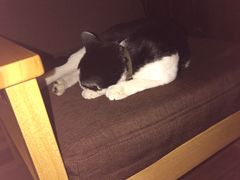 -猫的天空之城概念书店(杭州南宋御街店)