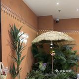 夏天就要泰兰德一夏