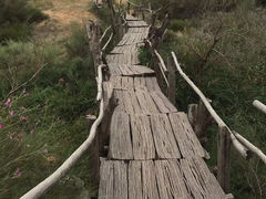 -黄沙古渡原生态旅游区