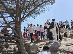 -黄山白云宾馆