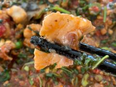 -胖大姐黄辣丁鱼庄(新津店)