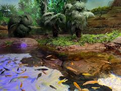 -上海海洋水族馆