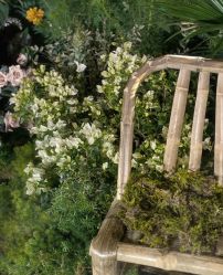 -静安洲际酒店·宴会厅