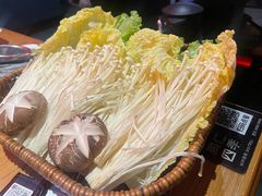 -同仁四季椰子鸡(汇邦名都店)