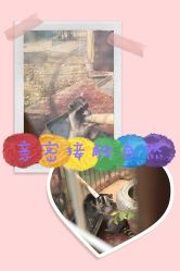 -萌宠亲子动物乐园(槐房万达店)