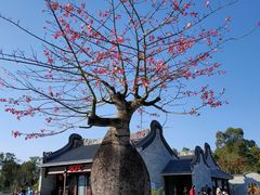 -香山湖公园