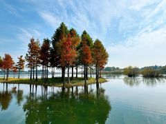 -贡湖湾湿地公园