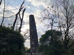 -上海佘山国家森林公园天马山园