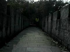 -重庆市江北嘴中央商务区中央公园