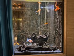 -圣爵菲斯大酒店(长沙世界之窗店)