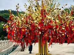 -牛首山文化旅游区