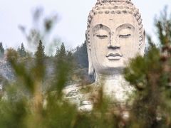 -蒙山大佛景区