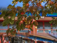 -北京石刻艺术博物馆(五塔寺)