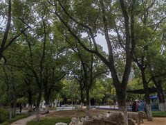 -沙市市中山公园