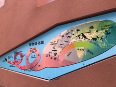 -陕西自然博物馆