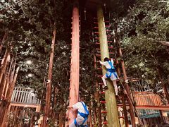 -黄海国家森林公园