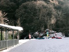 -少华山国家森林公园