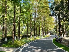 -苏州河梦清园环保主题公园