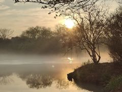 -西溪国家湿地公园