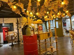 -共舞时光猫咖·狗咖(新街口店)