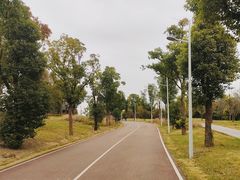 -白鹭湾湿地公园