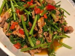 香菜炒牛肉-壹盏灯(惠农店)