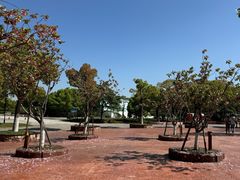 -上海野生动物园