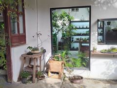 -植觉