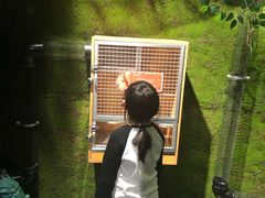 -石家庄海洋公园