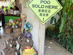 -大象粑粑造纸公园