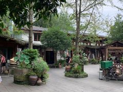 -青城甲(青城山店)