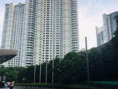 -上海中心大厦