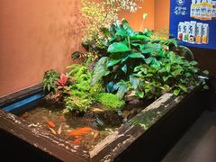 -隐炉和牛烧肉店(群力店)