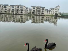 -龙熙维景国际会议中心