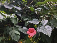 -斯多格书乡(北京大学畅春园店)